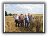 Viele Erntehelfer waren nötig