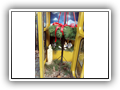 2024-12_Advent_(Detail)