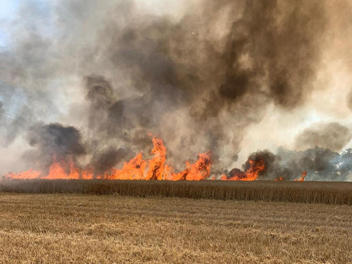 FF-Flächenbrand190725