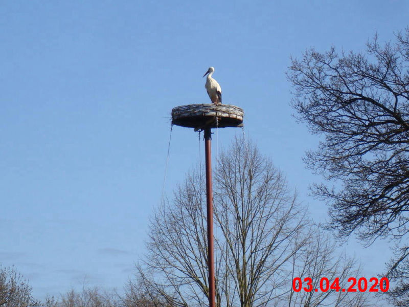 Storch_210301